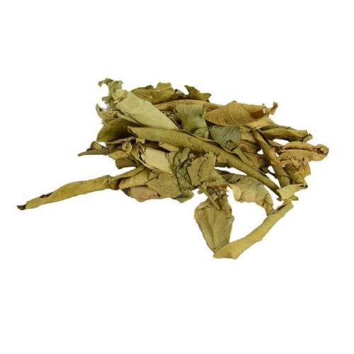 Turunç Yaprağı Doğal 100 Gr Paket Turunç Yaprağı Doğal 100 Gr Paket