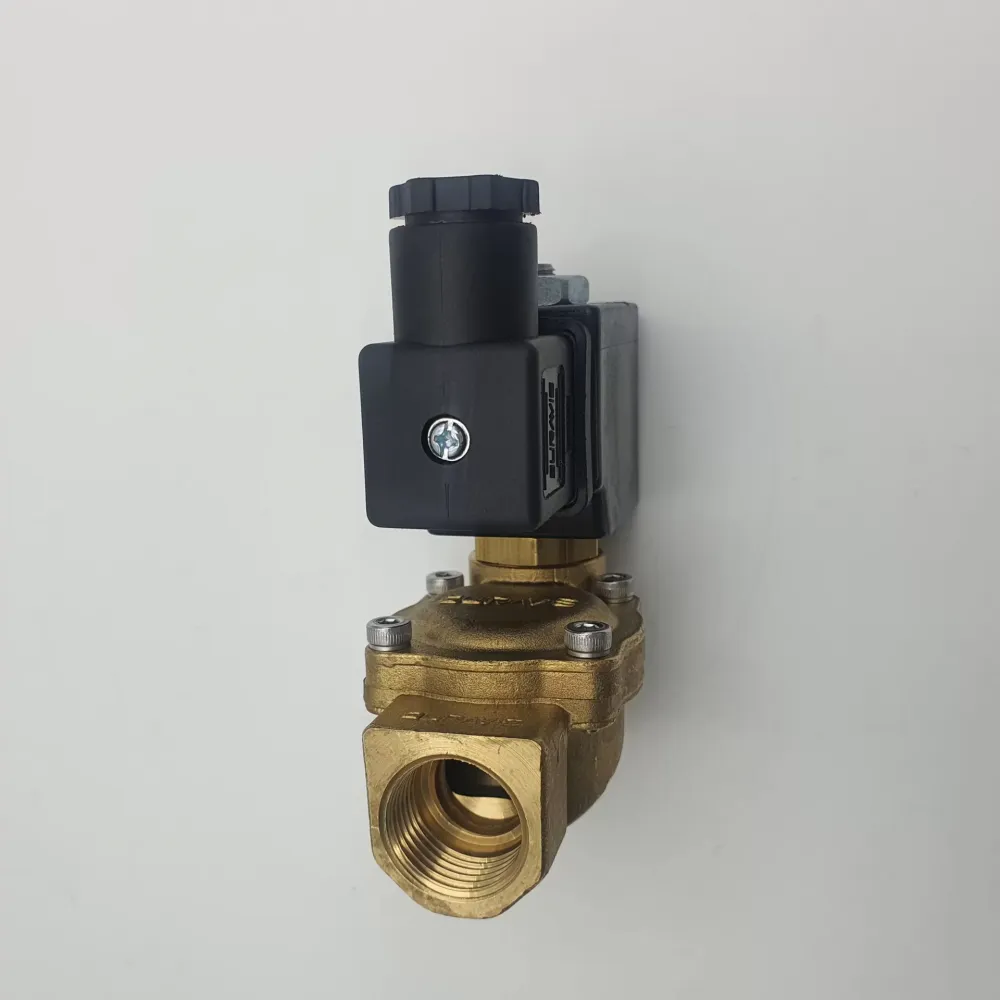 Solenoid Valf Gm Nk 1/2 (Lisinya)