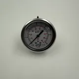 Ø 63 -0 - 6 BAR 1/4 GLİSERİNLİ ARKA ÇIKIŞLI MANOMETRE (Lisinya)