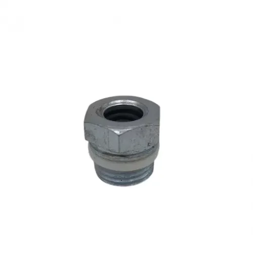 FORD DİREKSİYON REKORU (Lisinya)