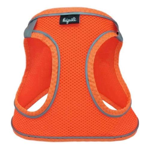 Üç Kilitli Sportif Kedi Köpek Göğüs Tasması 24-28 cm XX-Small Turuncu Üç Kilitli Sportif Kedi Köpek Göğüs Tasması 24-28 cm XX-Small Turuncu