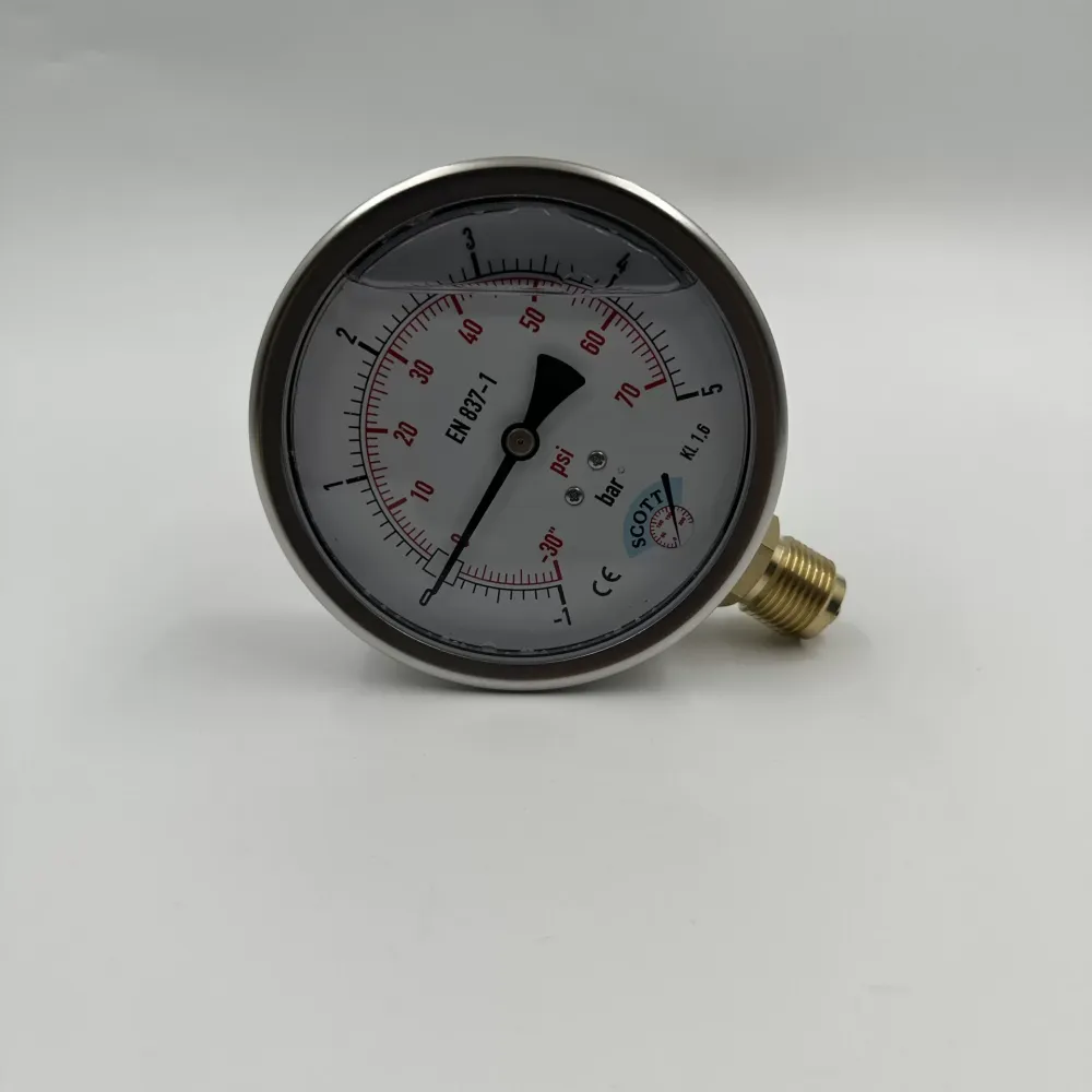 Ø 100 - 1 + 5 BAR 1/2 GLİSERİNLİ ALTTAN ÇIKIŞLI MANOMETRE (Lisinya)