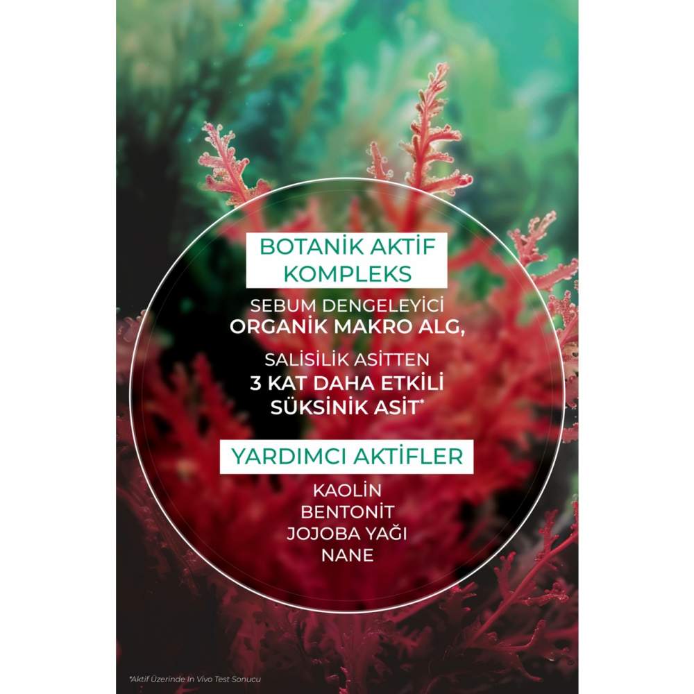 Yves Rocher Arındırıcı Siyah Nokta Karşıtı Kömür Maske-Süksinik Asit-Sebo Active Clear Botanik Kompleks-75ml